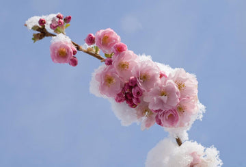 April – der Kreislauf macht was er will