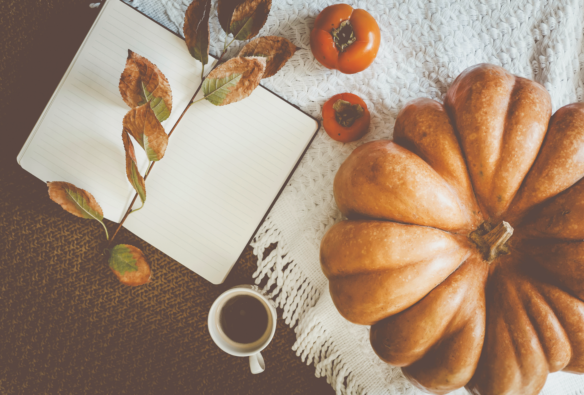 Herbst-Essentials – wie du gut durch die Übergangszeit kommst