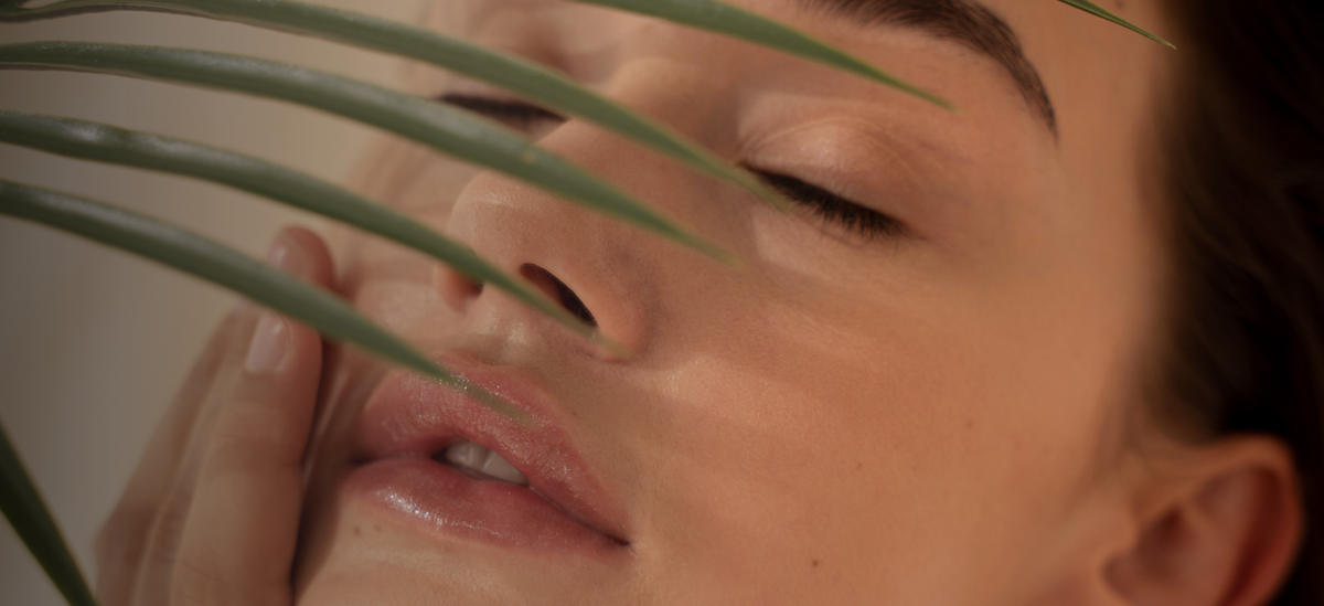 collection-banner-image