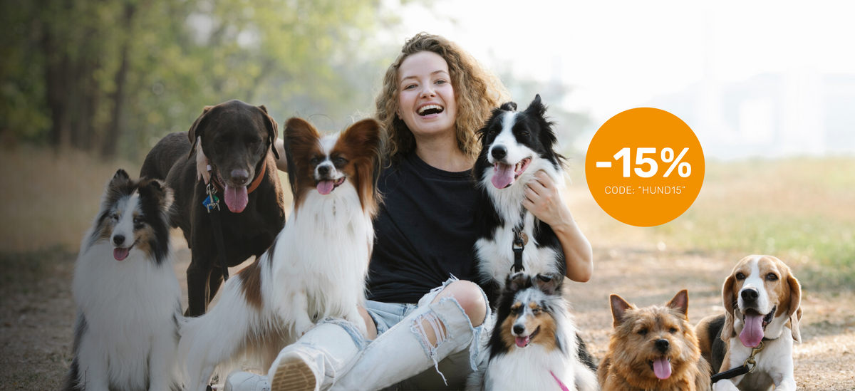 Nährstoffe zur Unterstützung des Bewegungsapparats von Hunden