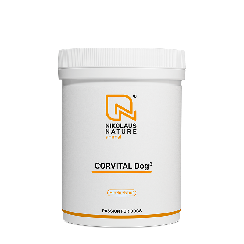 6751f8d8-69d4-4867-b4d7-abf1d240e294/NN_animal_corvital_dog_160g_pulver.png