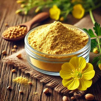 Evening primrose oil powder