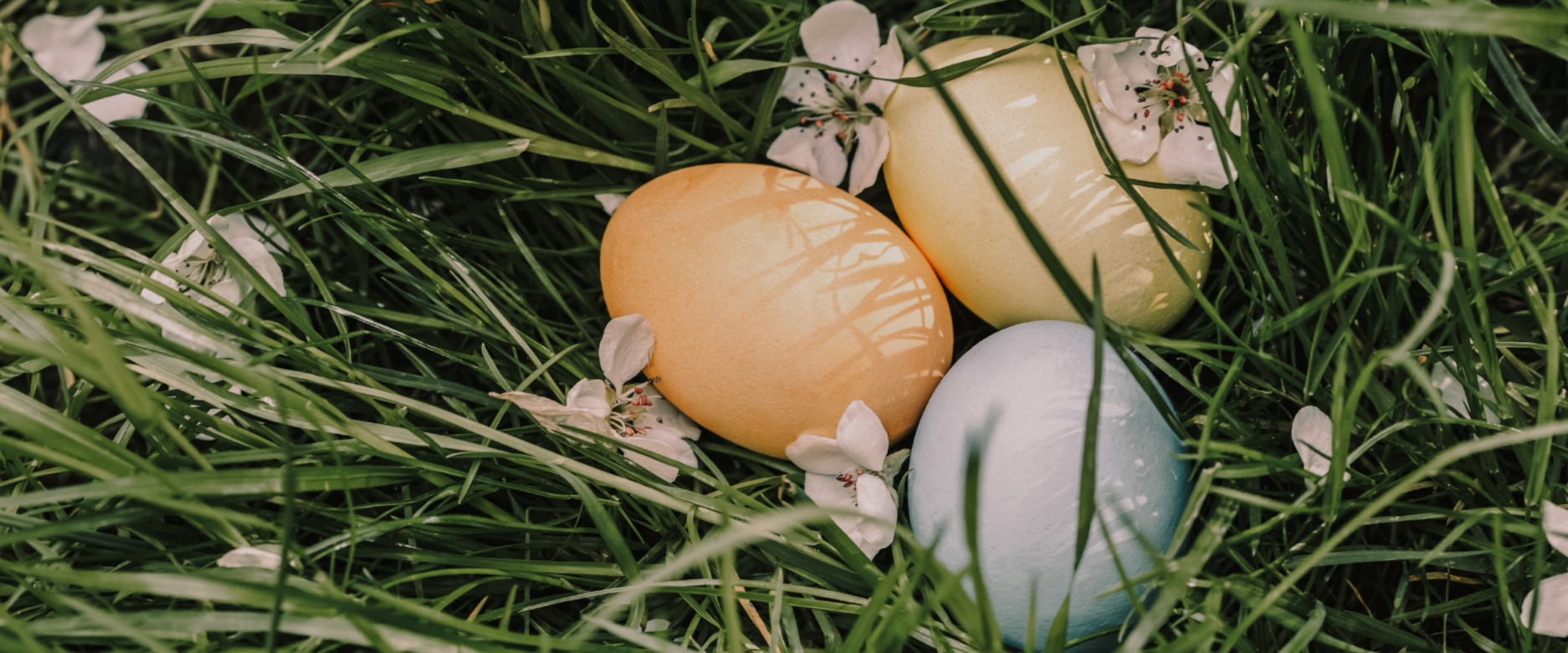 slider image slider_item_jXepWy