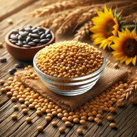 Lecithin